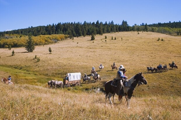 Rancharbeit mit Pferden | © panthermedia.net /DesignPicsInc